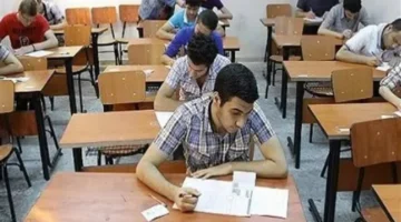 نتائج الشهادة الإعدادية.. رابط الاستعلام عن درجات طلاب الإسكندرية وسوهاج برقم الجلوس